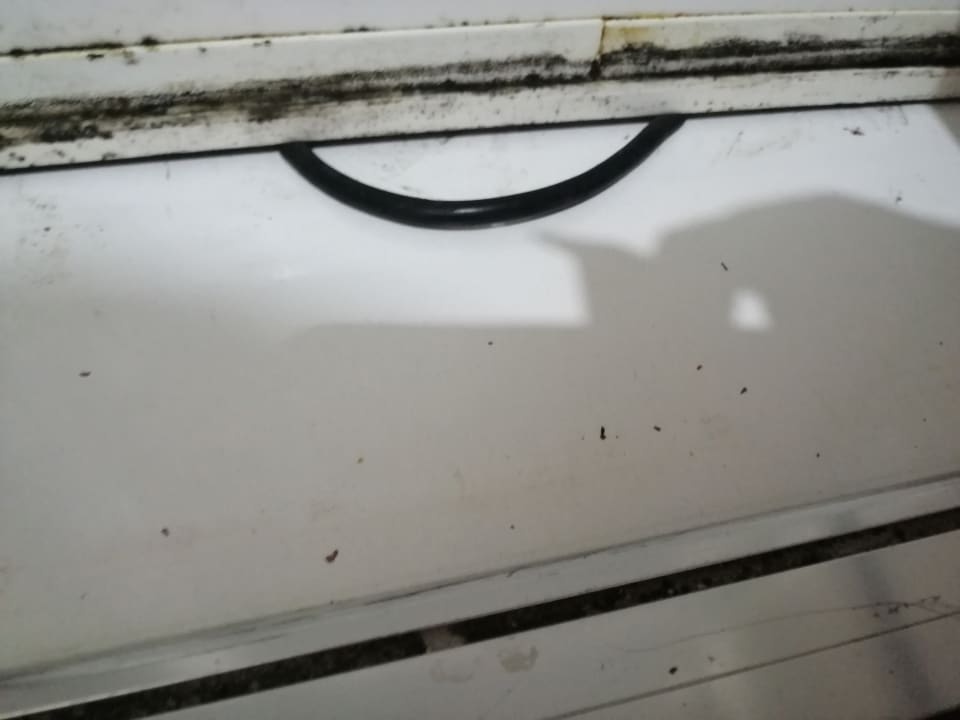 Zimmer Side Miami Beach