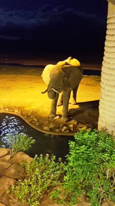 Ausblick Salt Lick Safari Lodge