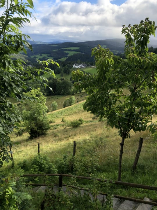 Ausblick Glühwürmchenhütte