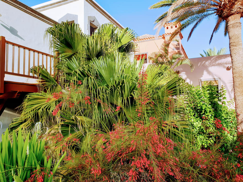 Außenansicht Lopesan Villa del Conde Resort & Thalasso