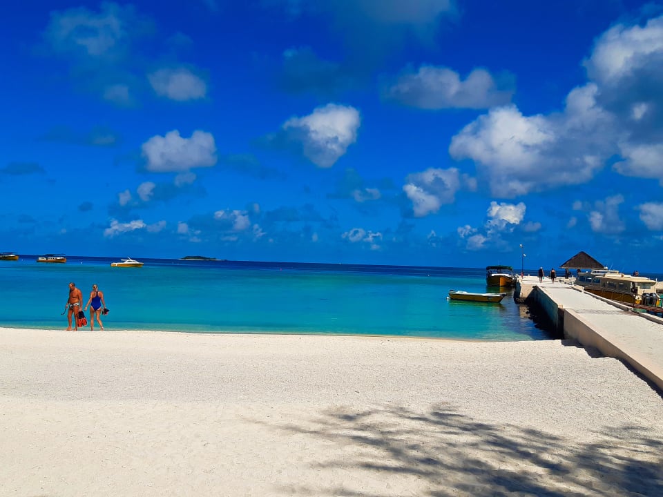 Strand Summer Island Maldives