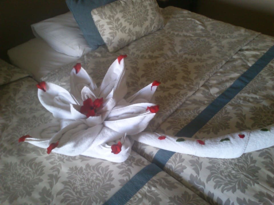 Art from housekeeping JAZ Aquamarine Resort