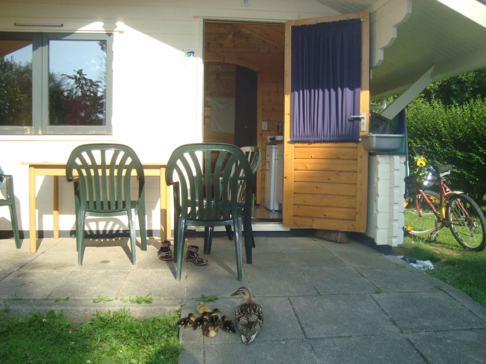 Wanderhütte plus Hotel & Campingpark Ons Buiten