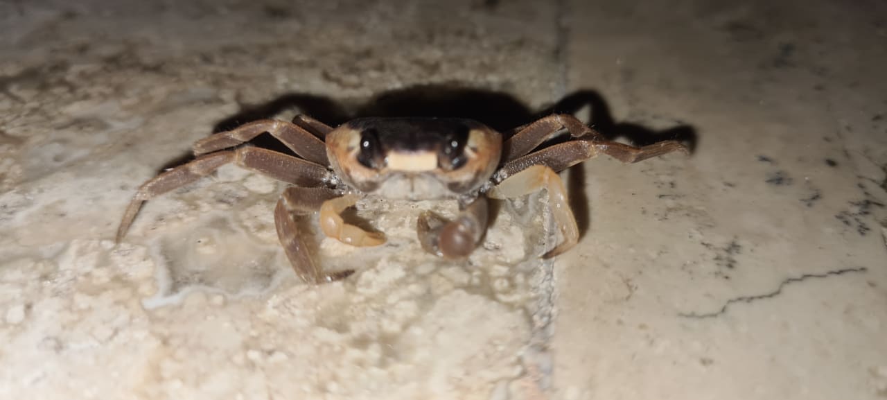 Sonstiges Akumal Bay Beach & Wellness Resort