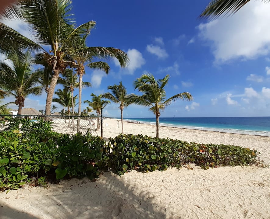 Strand Hotel Riu Republica - Adults only