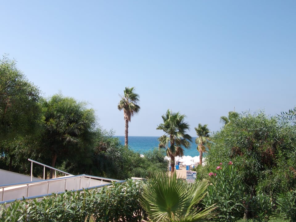 Gartenanlage Sultan of Dreams Hotel & Spa