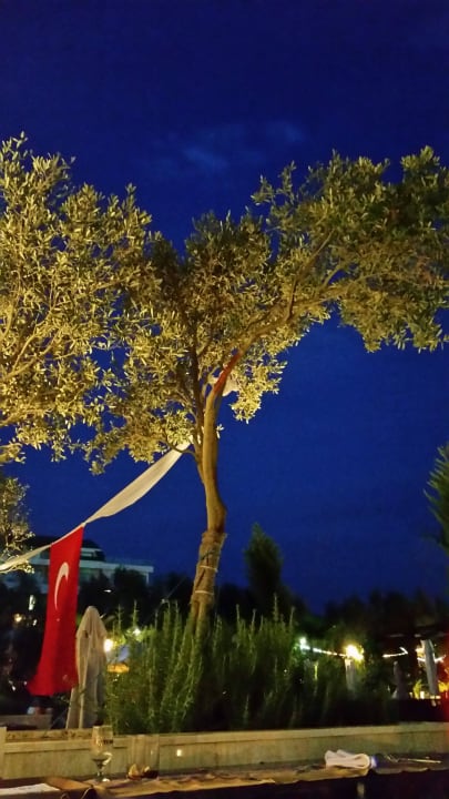 Türkischer Abend Belek Beach Resort Hotel