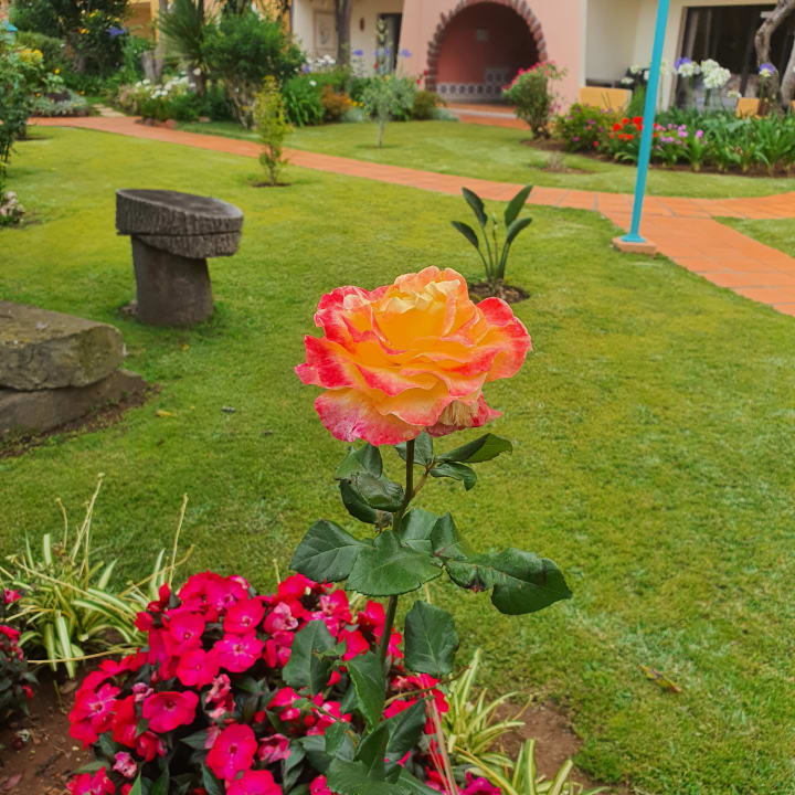 Gartenanlage Hotel Quinta Splendida Wellness & Botanical Garden