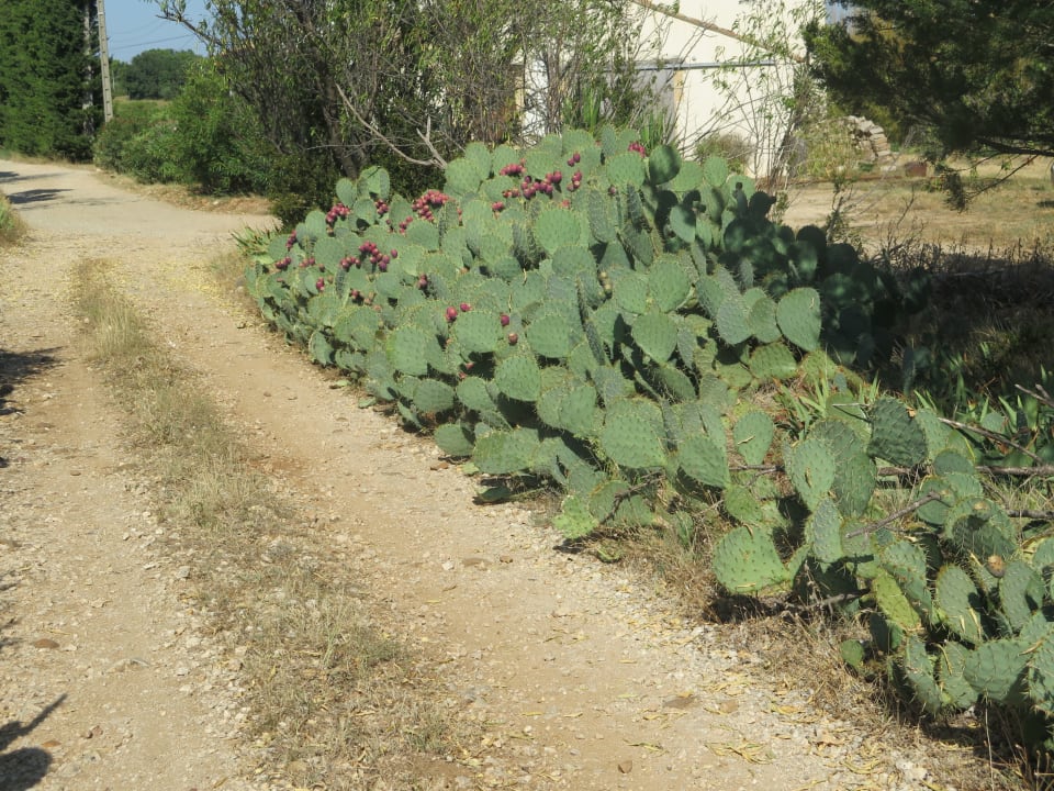 Sonstiges greet hotel Pont du Gard Route d'Avignon