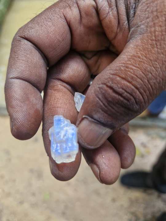 Sonstiges Hotel Riu Sri Lanka