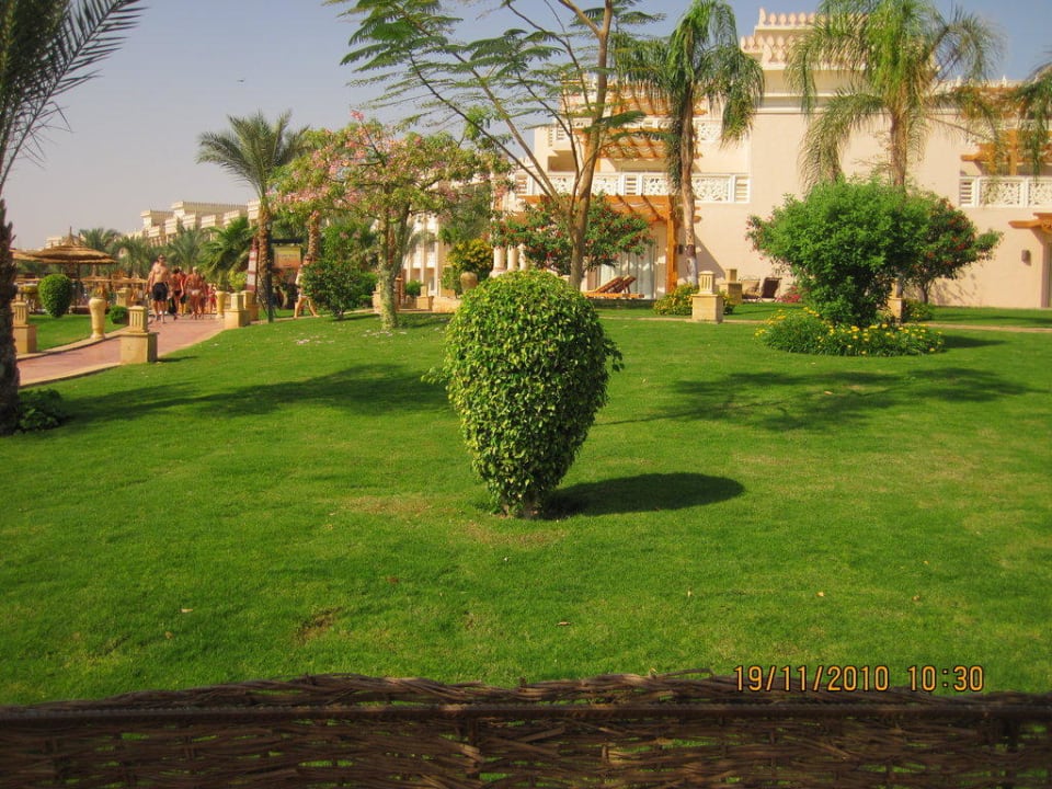 Blick vom Strand zum Hotel Pickalbatros Palace Resort