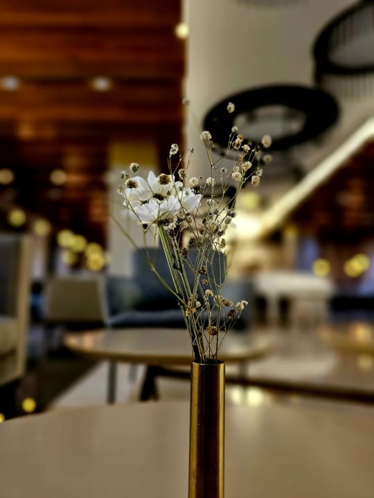 Sonstiges Acanthus Cennet Barut Collection