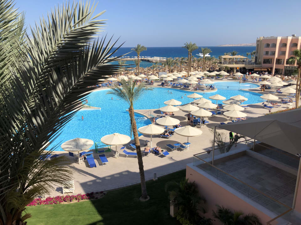 Pool Beach Albatros Resort