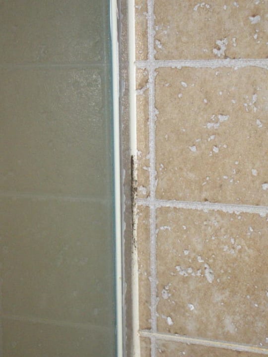 Schimmelfleck Ilunion Sancti Petri