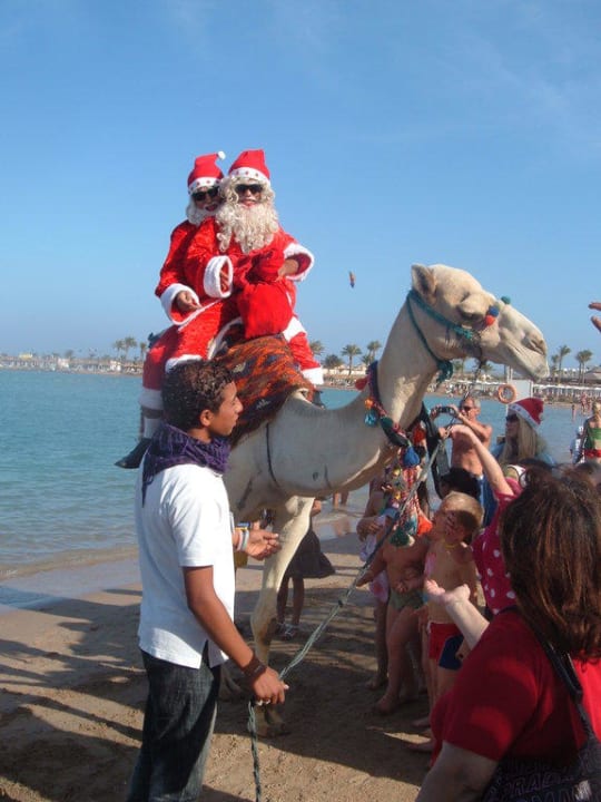 Weihnachten 2009 Pickalbatros Dana Beach Resort - Hurghada
