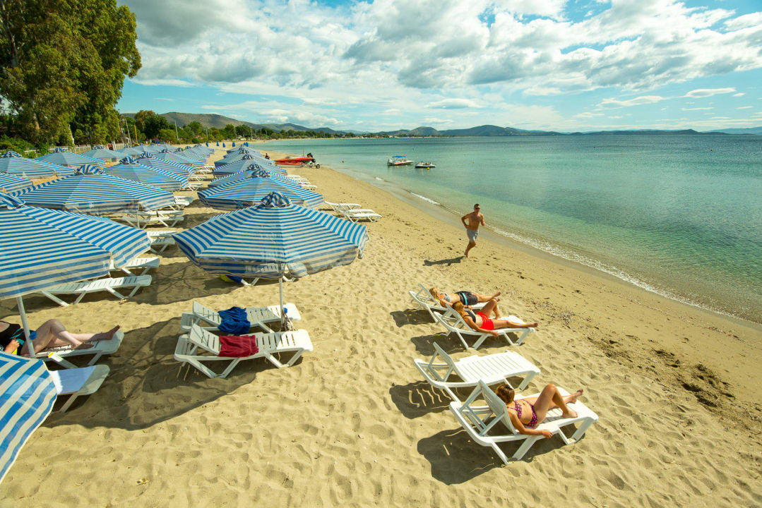 Beach front Hotel Golden Coast