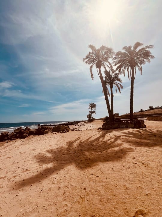 Ausblick Pickalbatros Citadel Resort