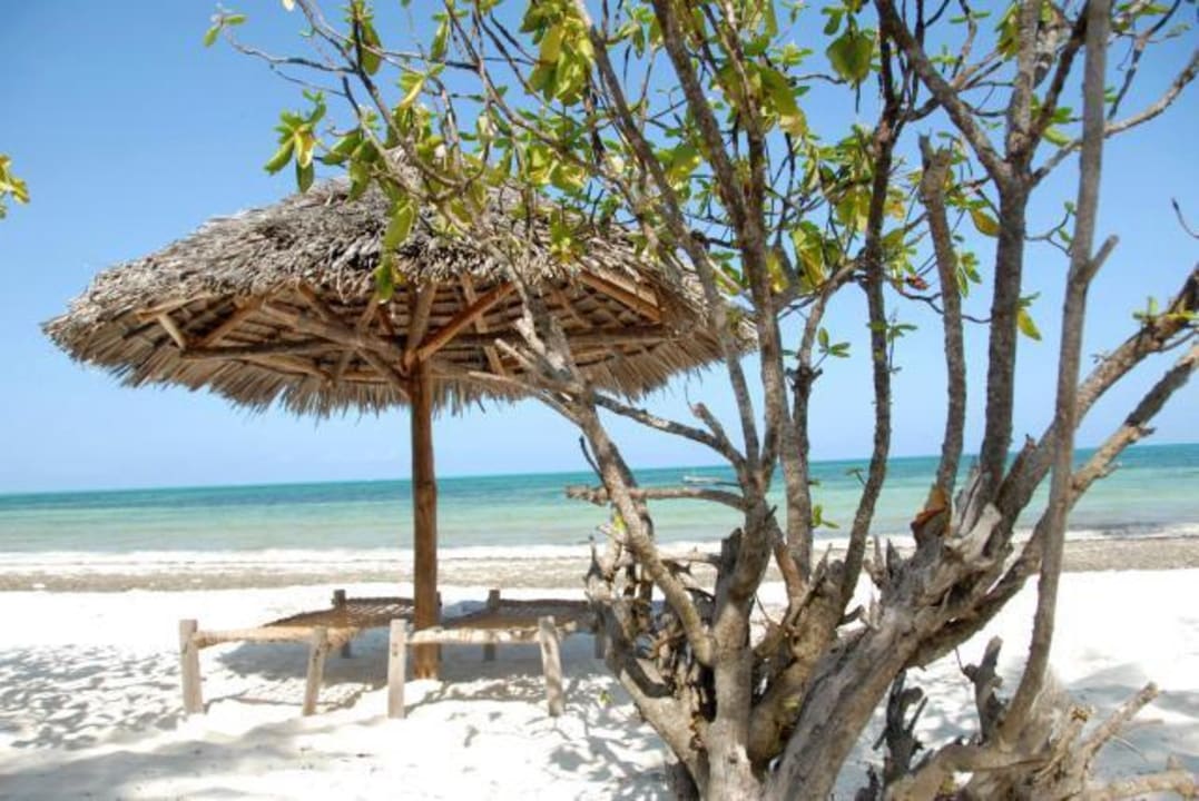 Beach of Pakachi Pakachi Beach Resort