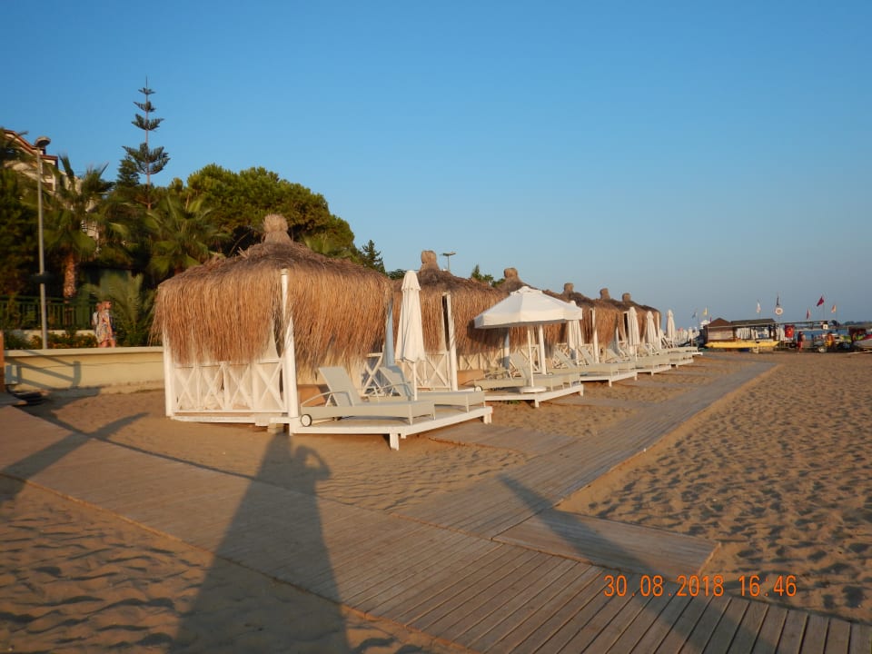 Strand PALOMA Perissia