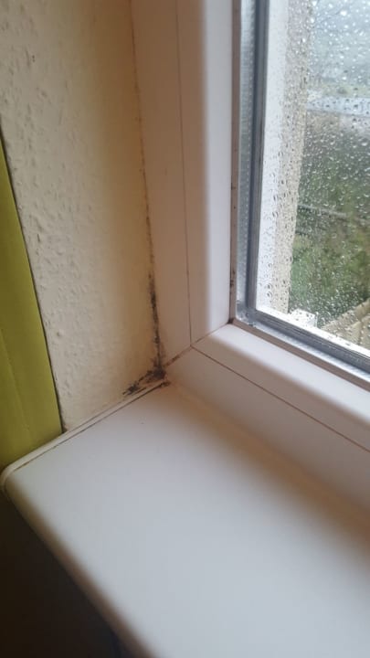 Zimmer Center Parcs Park Bostalsee