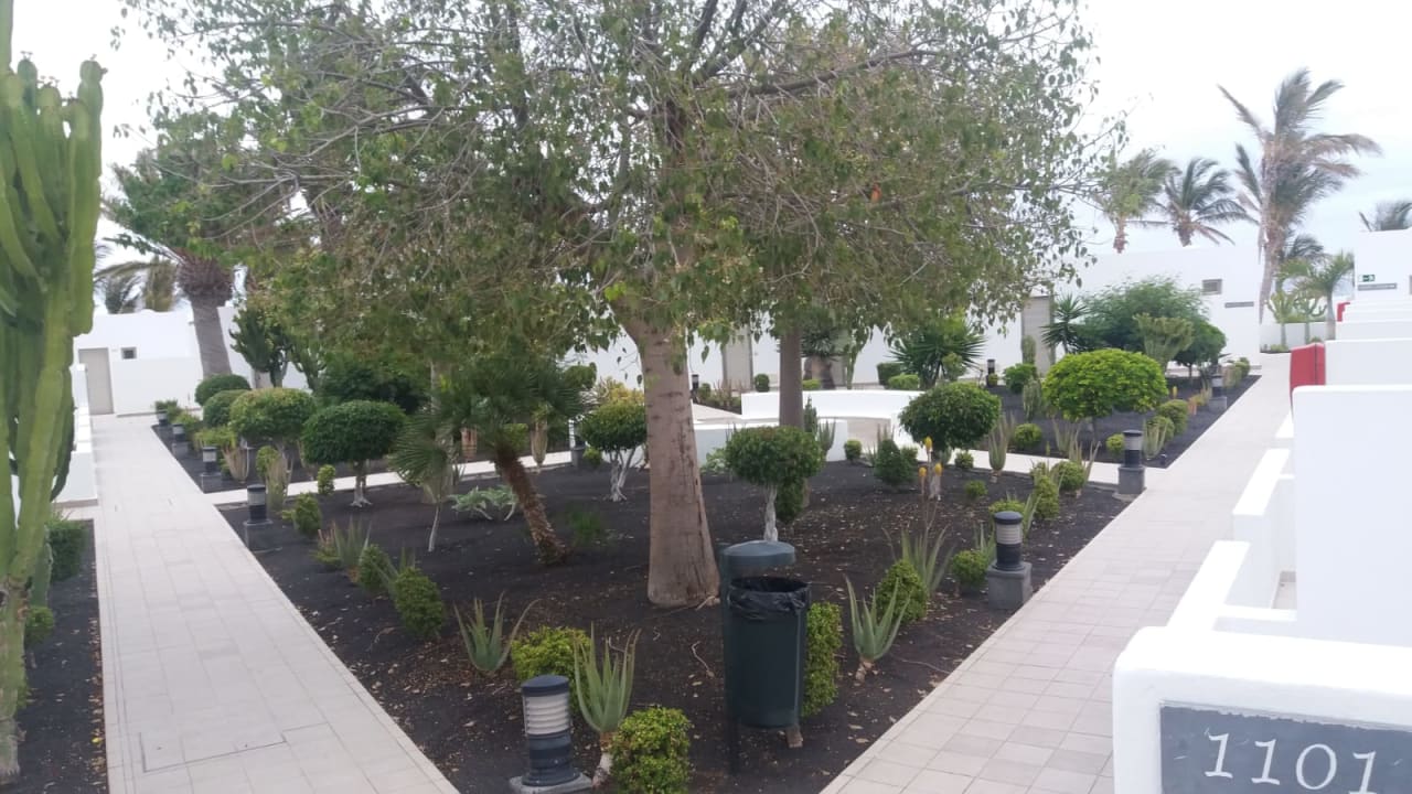 Gartenanlage Hotel Las Costas