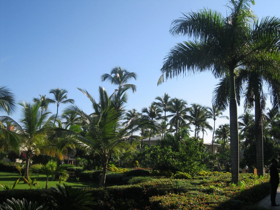 Super gepflegt Grand Sirenis Punta Cana Resort & Aquagames