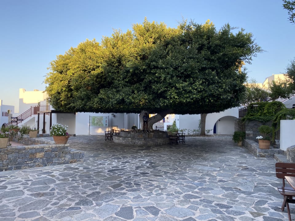 Sonstiges Creta Maris Resort