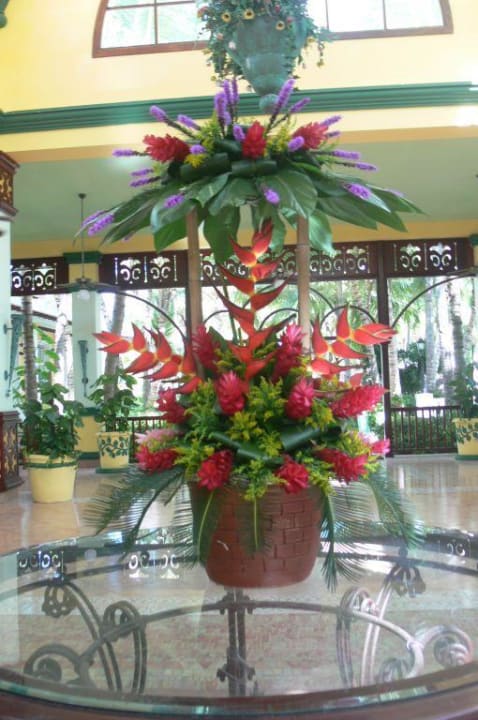 Punta cana - dominikana Hotel Riu Bambu