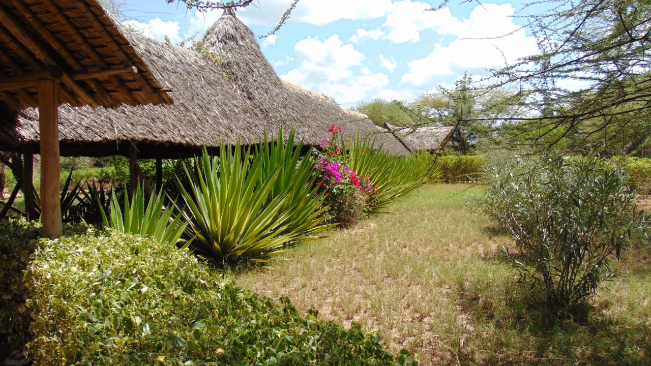 Gartenanlage AA Lodge Amboseli