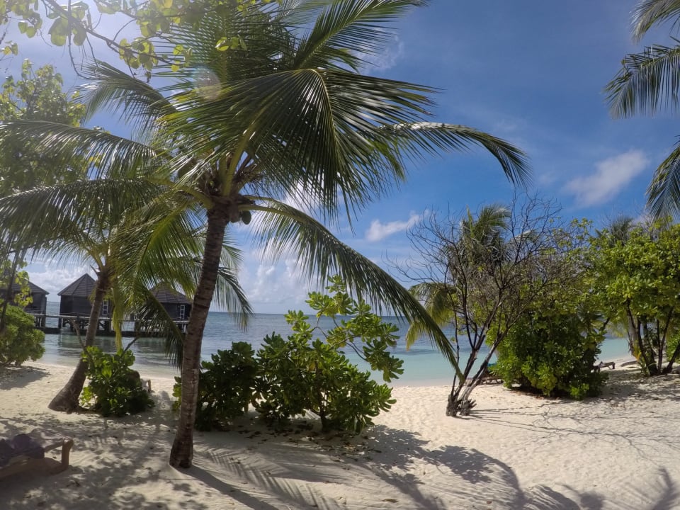 Zimmer Kuredu Island Resort & Spa