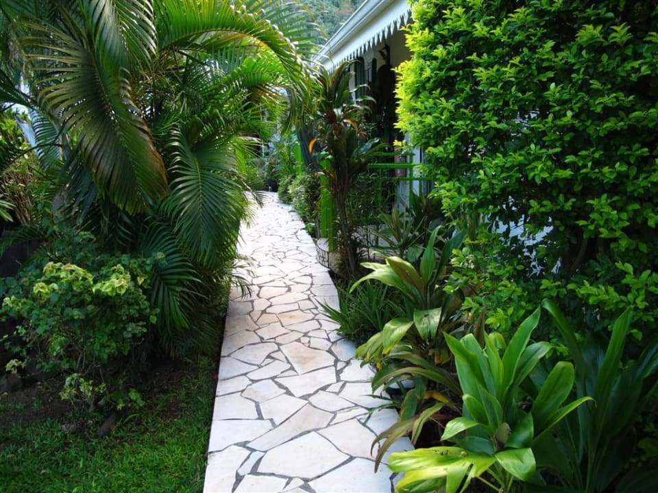 Weg zum Bungalow Le Relais Fenua