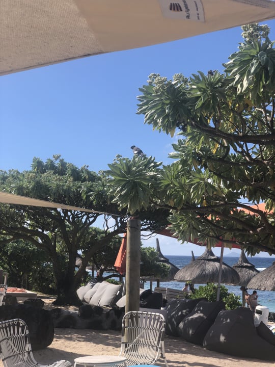 Außenansicht Radisson Blu Poste Lafayette Resort & Spa - Adults only