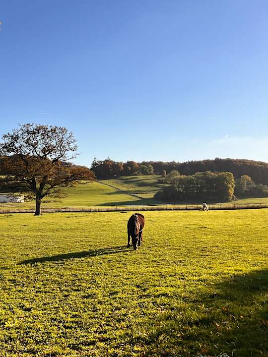 Ausblick Ferienhof Feinen