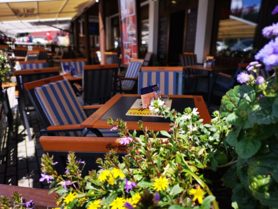 Gastro Wellness Pension 7