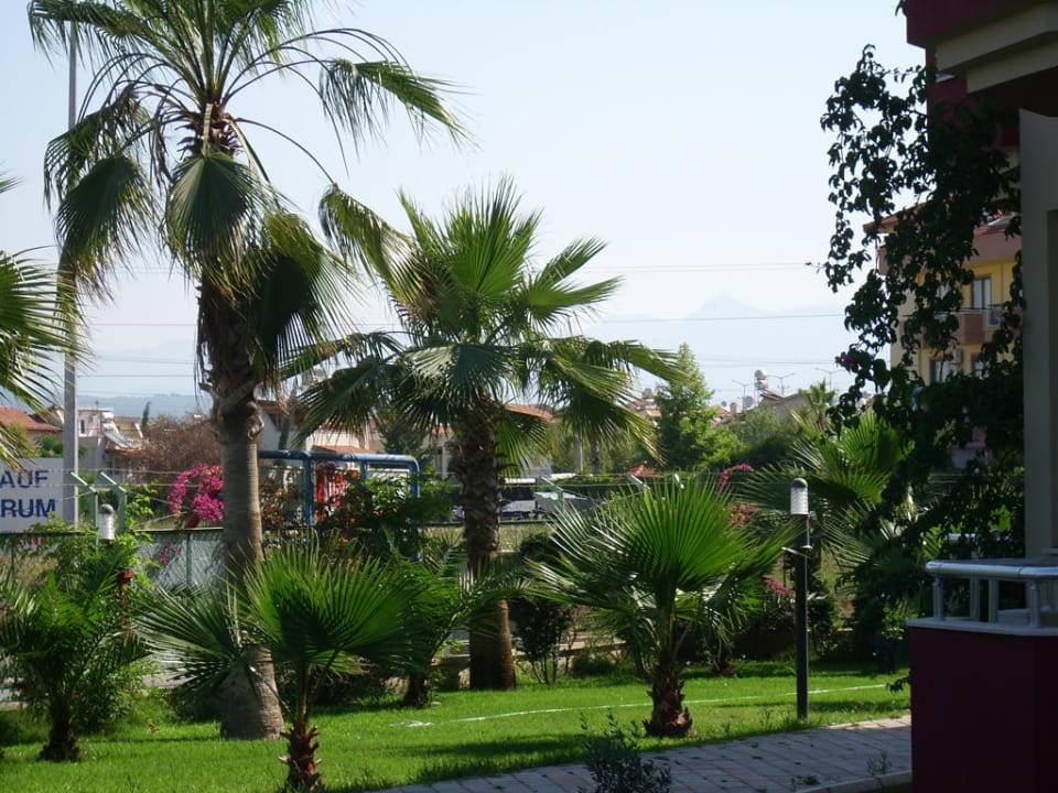 Außenanlage Hotel Orfeus Park