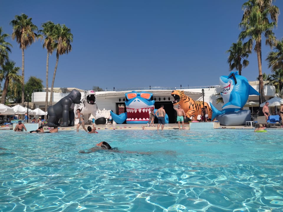 Pool Monachus Family Resort Sorgun