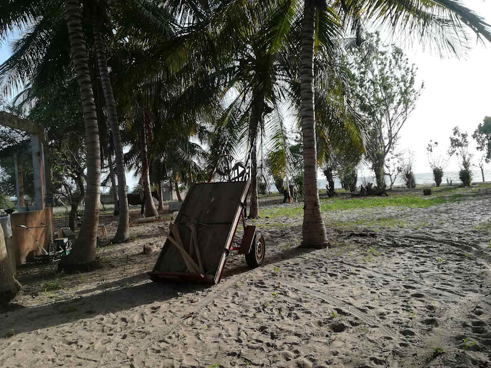 Gartenanlage Campement Nanaay