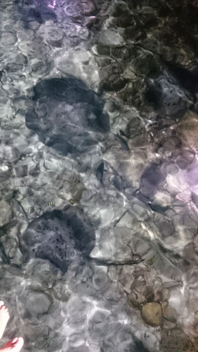 Strand Adaaran Select Meedhupparu Island Resort - Premium All Inclusive