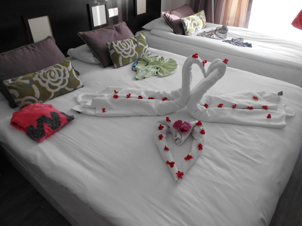 Danke: Birsel Bayram Side Alegria Hotel & Spa - Adults only +16