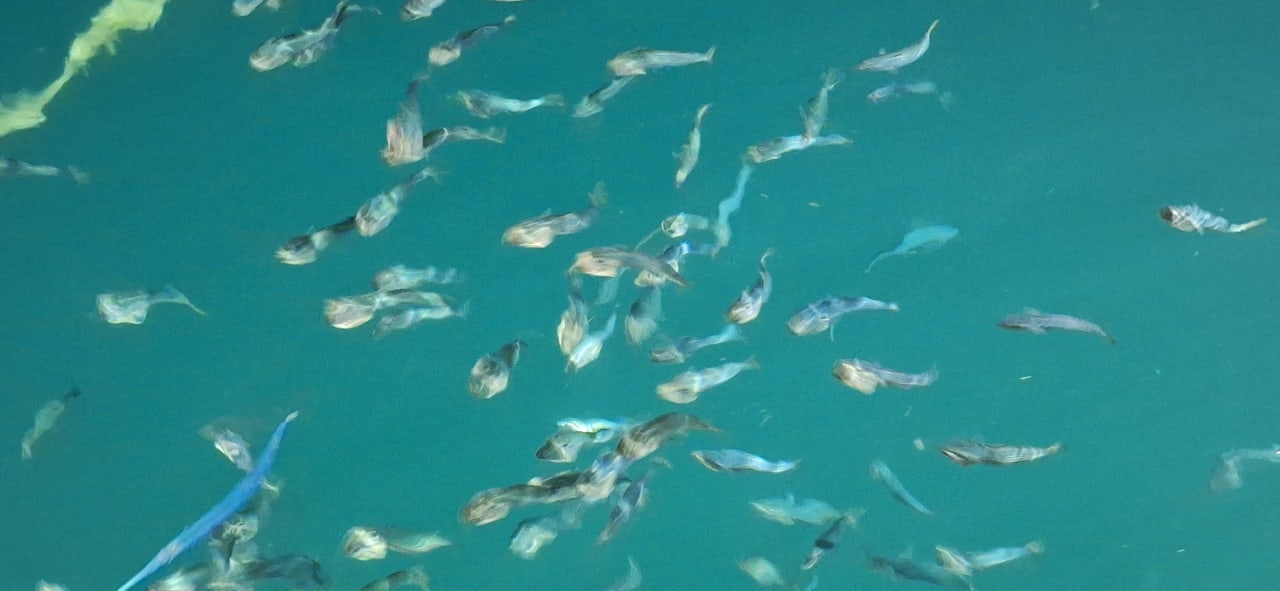 Sonstiges Siva Grand Beach