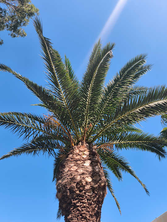 Gartenanlage Limak Limra Hotel & Resort