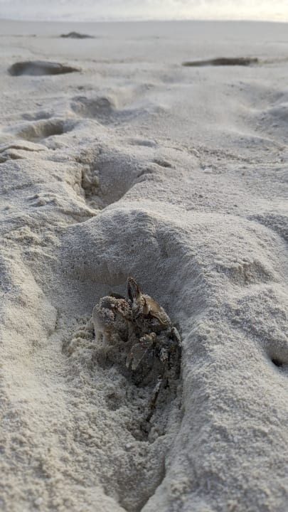 Strand Summer Island Maldives