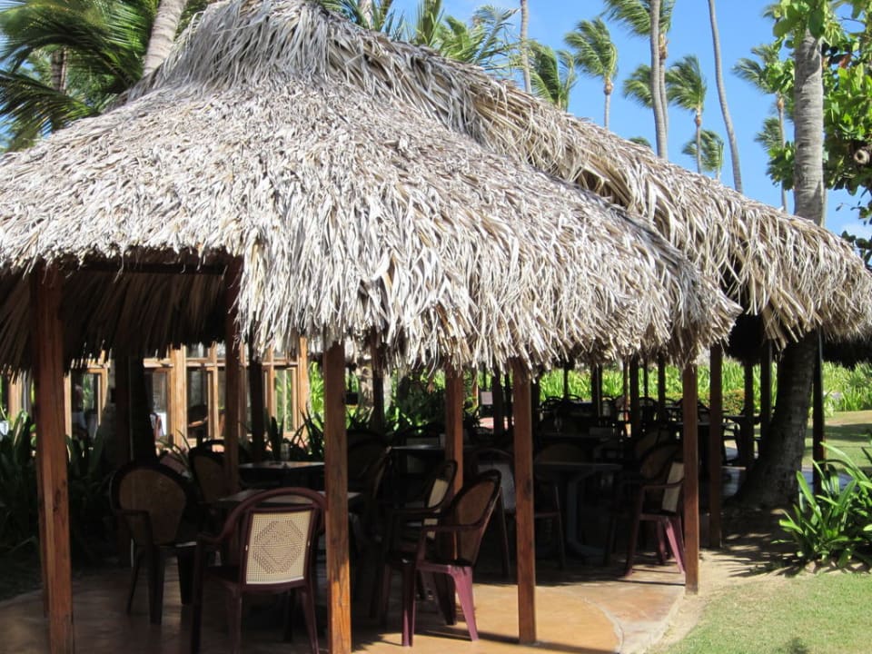 Neu eingerichtet Grand Palladium Select Bávaro Resort & Spa