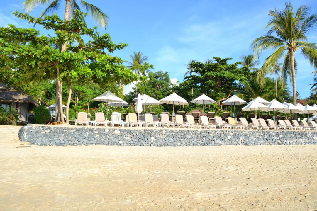 Immer ausreichend Liegen vorhanden Nora Beach Resort & Spa