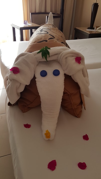 Zimmer Jaz Dar EL Madina