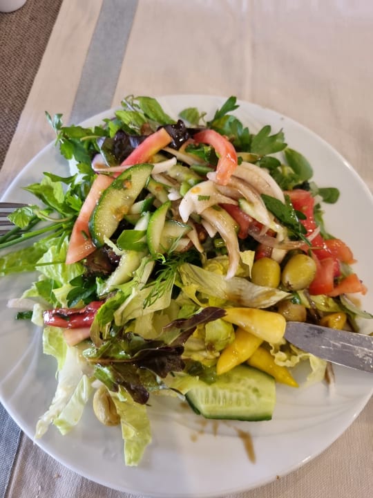 Gastro Hotel Orfeus Park