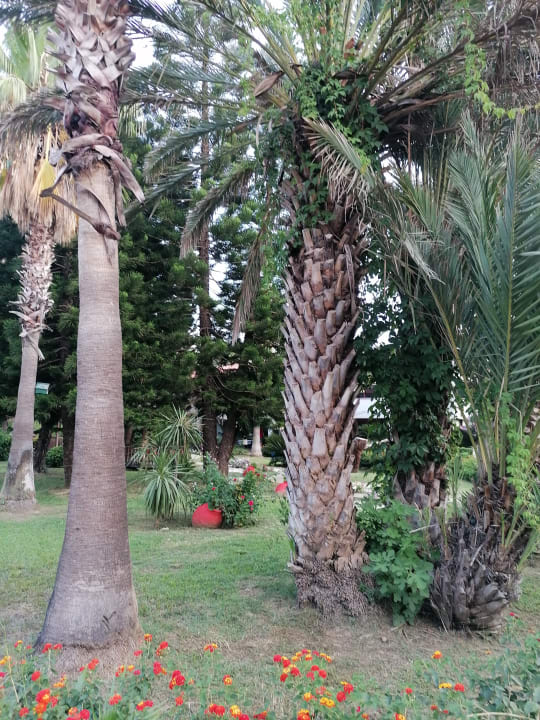 Gartenanlage Hotel Club Nena