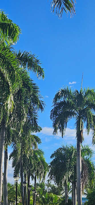 Sonstiges Hotel Riu Palace Punta Cana