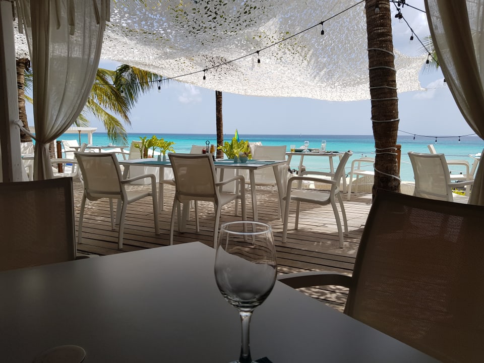 Strand Catalonia Royal La Romana - Adults only