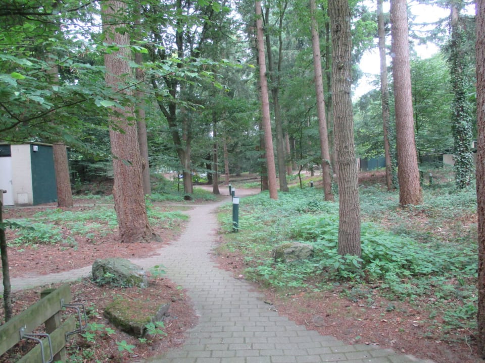 Park Center Parcs Het Heijderbos